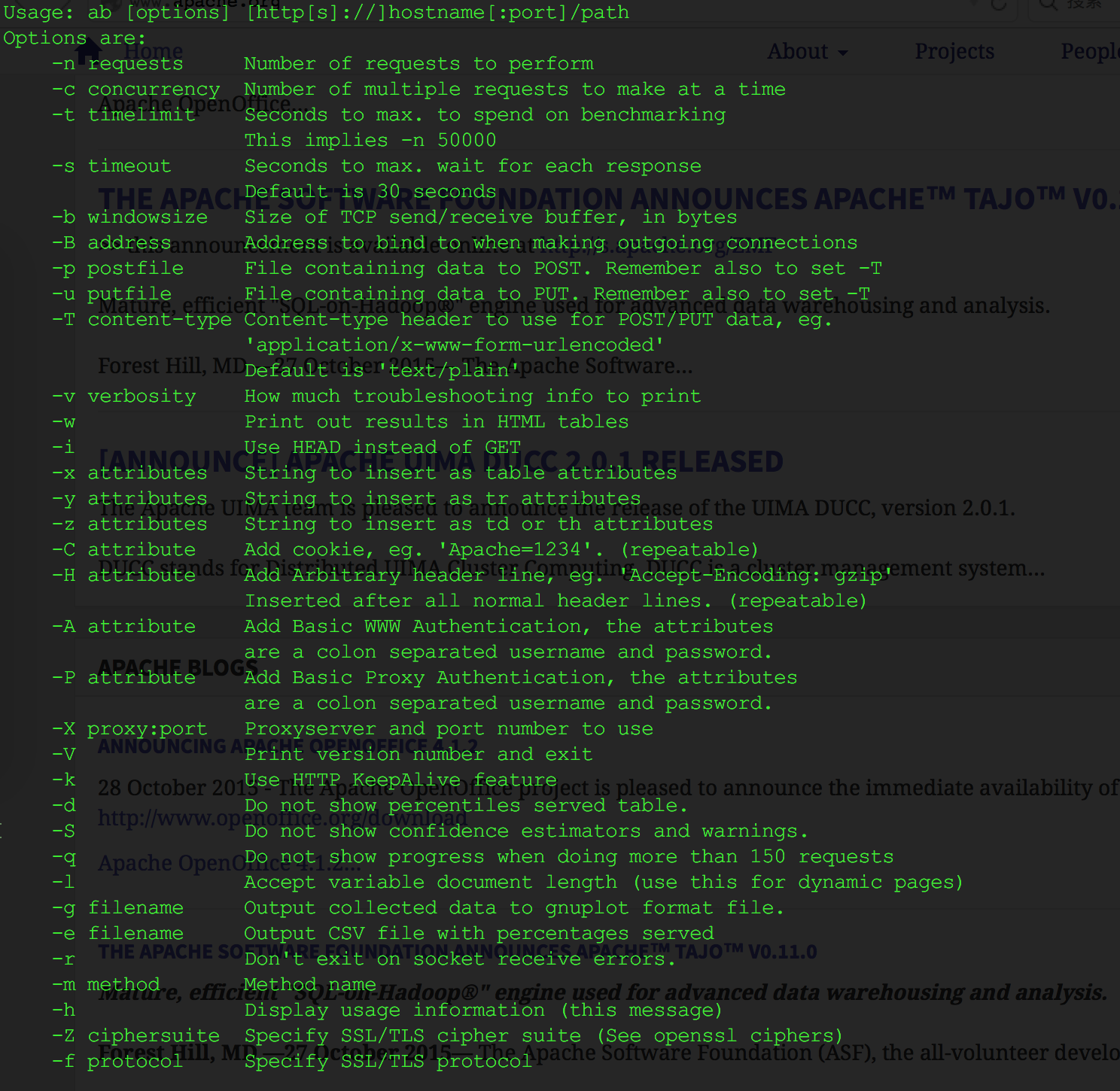 Apache Options